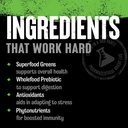 animal-pak-complete-vitamin-supplement-pack-with-zinc-greens-and-chlorophyll-convenient-daily-nutrition-06-animal-pak---complete-vitamin-supplement-pack-with-6.jpg