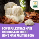 freshcap-mushrooms-performance-bundle-lions-mane-and-cordyceps-capsules-04-freshcap-mushrooms-performance-bundle-lions-mane-a-4.jpg