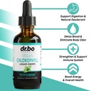 15-day-colon-cleanse-pills-with-ginger-chlorophyll-drops-for-internal-detox-gut-support-03-15-day-colon-cleanse-pills-with-ginger-chlorophyll-3.jpg