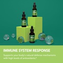 organic-turmeric-ginger-and-nettle-root-gummies-drops-for-metabolism-prostate-joint-immune-support-non-gmo-gluten-free-60-gummies-1-fl-oz-06-organic-turmeric-ginger-and-nettle-root-gummies-dr-6.jpg
