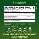organic-turmeric-ginger-and-nettle-root-gummies-drops-for-metabolism-prostate-joint-immune-support-non-gmo-gluten-free-60-gummies-1-fl-oz-09-organic-turmeric-ginger-and-nettle-root-gummies-dr-9.jpg