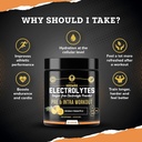 hydration-boost-electrolyte-powder-sugar-free-keto-supplement-for-endurance-fatigue-reduction-100-servings-unflavored-mango-pineapple-set-04-hydration-boost-electrolyte-powder---sugar-free-ke-4.jpg
