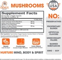genius-energized-pre-workout-mushroom-supplement-bundle-boost-energy-and-wellness-with-powerful-ingredients-06-genius-energized-pre-workout-mushroom-supplement-b-6.jpg