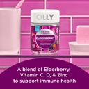 immune-boosting-elderberry-gummies-hair-strengthening-biotin-gummies-60-count-each-03-immune-boosting-elderberry-gummies-hair-strengthen-3.jpg
