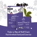 organic-elderberry-immune-support-tea-with-echinacea-for-pregnancy-breastfeeding-and-family-decaf-ginger-rooibos-tea-16-count-3-pack-09-organic-elderberry-immune-support-tea-with-echinac-9_b000a135-df9b-4740-be77-e393d356b1ab.jpg