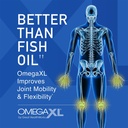 60-count-omegaxl-joint-support-supplement-with-green-lipped-mussel-oil-for-natural-muscle-relief-30-pack-memoryxl-brain-supplement-for-memory-and-focus-with-magnesium-l-threonate-04-60-count-omegaxl-joint-support-supplement-with-gre-4.jpg