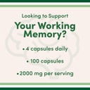 400mg-magnesium-glycinate-2000mg-magnesium-l-threonate-double-wood-supplements-07-400mg-magnesium-glycinate-2000mg-magnesium-l-threo-7.jpg