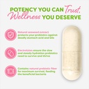 probulin-womens-probiotic-capsules-for-vaginal-gut-immune-health-20-billion-cfu-12-strains-vegan-30-count-05-probulin-womens-probiotic-capsules-for-vaginal-gut-5.jpg