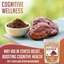 organic-mushroom-bundle-with-lions-mane-chaga-and-red-reishi-mushrooms-xprs-nutra-16-oz-each-03-organic-mushroom-bundle-with-lions-mane-chaga-and--3.jpg
