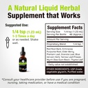 cedar-bear-naturales-lymphatic-cleanse-alcohol-free-immune-support-supplement-with-natural-herbs-for-lymphatic-drainage-liquid-herbal-supplements-2-fl-oz-02-cedar-bear-naturales-lymphatic-cleanse---alcohol-f-2.jpg