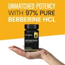 1200mg-berberine-with-ceylon-cinnamon-97-purity-non-gmo-gluten-free-lab-tested-vegan-supplement-120-count-pack-03-1200mg-berberine-with-ceylon-cinnamon---97-purity--3.jpg