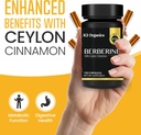 1200mg-berberine-with-ceylon-cinnamon-97-purity-non-gmo-gluten-free-lab-tested-vegan-supplement-120-count-pack-04-1200mg-berberine-with-ceylon-cinnamon---97-purity--4.jpg