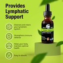 cedar-bear-naturales-lymphatic-cleanse-alcohol-free-immune-support-supplement-with-natural-herbs-for-lymphatic-drainage-liquid-herbal-supplements-2-fl-oz-06-cedar-bear-naturales-lymphatic-cleanse---alcohol-f-6.jpg