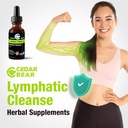cedar-bear-naturales-lymphatic-cleanse-alcohol-free-immune-support-supplement-with-natural-herbs-for-lymphatic-drainage-liquid-herbal-supplements-2-fl-oz-09-cedar-bear-naturales-lymphatic-cleanse---alcohol-f-9.jpg