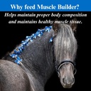1-gallon-su-per-muscle-builder-horse-supplement-enhance-training-performance-4-month-supply-04-1-gallon-su-per-muscle-builder-horse-supplement----4.jpg