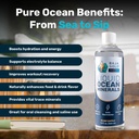 12-fl-oz-baja-gold-liquid-ocean-minerals-refill-natural-trace-minerals-supplement-02-12-fl-oz-baja-gold-liquid-ocean-minerals-refill----2.jpg