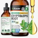 Organic Cryptolepis Sanguinolenta Tincture - Detox & Immune Support - 1-Month Supply - Liquid Drops - Vegan & Alcohol-Free - 2 fl oz