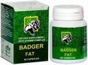 60 Capsules of Badger Fat: Rich in Polyunsaturated Fatty Acids - Natural Source