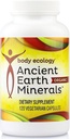 Plant-Derived Trace Mineral Supplement for Immunity & Detox | Body Ecology Ancient Earth Minerals | Non-GMO | 120 Capsules