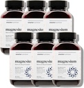 Smarter Nutrition Magnesium Complex - Chelated Glycinate, Citrate, Malate, Hydroxide - Sleep & Stress Support with L-Theanine - Soy-Free - 360 Count (Pack of 6)