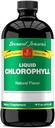 Natural Chlorophyll Liquid Supplement - Alkaline pH Balance & Blood Cleansing - 16 fl oz