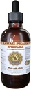 Organic Spirulina Liquid Extract Tincture, Herbal Supplement, Made in USA - 2 fl.oz
