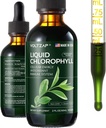 Premium VOLTZAP Chlorophyll Liquid Drops for Immune Support, Energy Boost, Digestive Health - Natural Mint Flavor Vegan Supplement 2fl.oz - Non-GMO & Gluten-Free