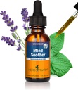 Herb Pharm Kava Anxiety Soother Liquid Herbal Formula for Nervous System Support - 1 Ounce