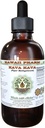 Alcohol-Free Kava Kava Liquid Extract - Natural Herbal Supplement by Hawaii Pharm - 2 oz Bottle