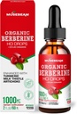 Organic Berberine HCl Liquid Drops with Ceylon Cinnamon Turmeric Milk Thistle Artichoke - High Bioavailability Supplement for Men and Women - Vegan, Sugar Free, Gluten Free - 1000mg - 2fl. oz